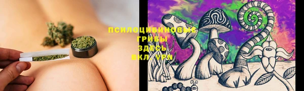 MESCALINE Инсар