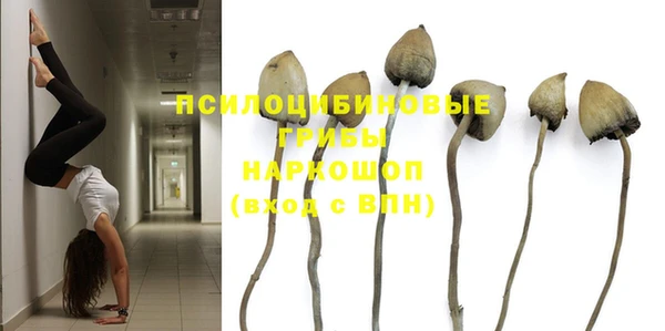 MESCALINE Инсар