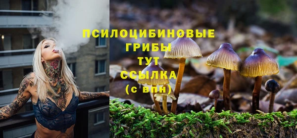 MESCALINE Инсар