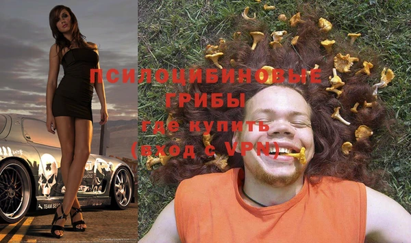 MESCALINE Инсар