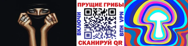 Псилоцибиновые грибы ЛСД  Купить закладки  Зубцов 
